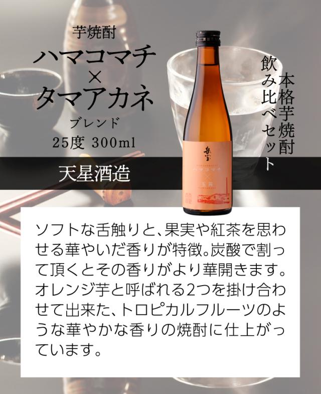 天星ギフトセット