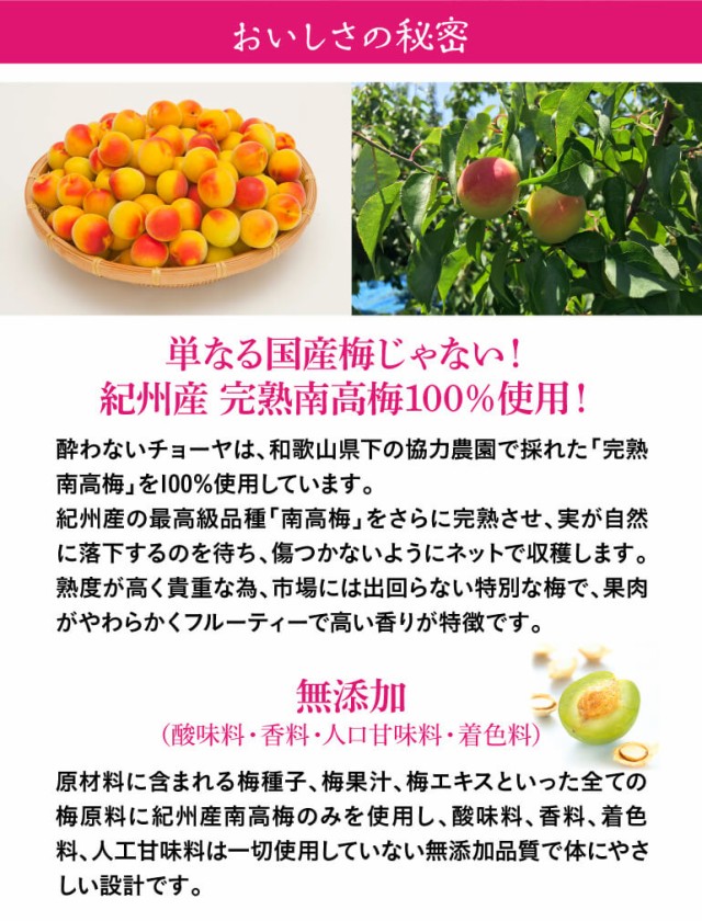 枚数限定 6本販売 送料無料 ノンアルコール 酔わないthe Choya 本格梅酒仕込み チョーヤ 700ml アルコール0 紀州産南高梅使用 無添加品質 奇跡の再販 Carlavista Com 枚数限定 6本販売 送料無料 ノンアルコール 酔わないthe Choya 本格梅酒仕込み チョーヤ 700ml アルコール0 紀州産南高梅使用 無添加品質 奇跡の再販 Carlavista Com