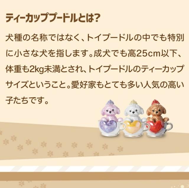 ティーカッププードルデキャンタ