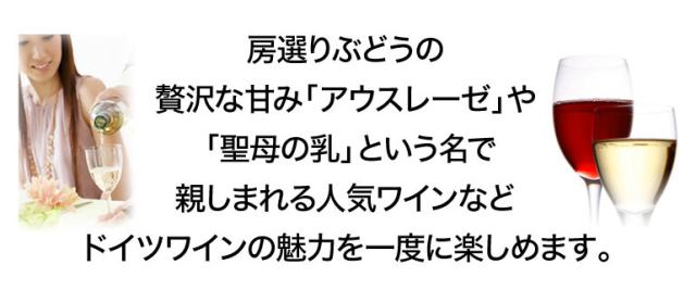 ドイツ産甘口ワイン5種セット