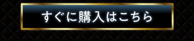 高級辛口シャンパン5本セット