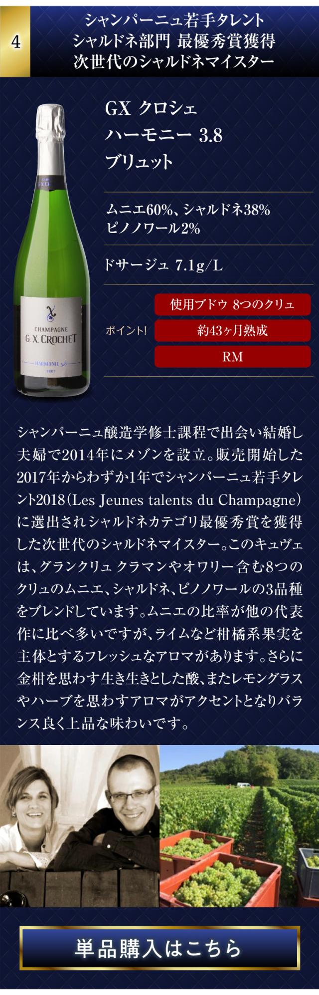 高級辛口シャンパン5本セット