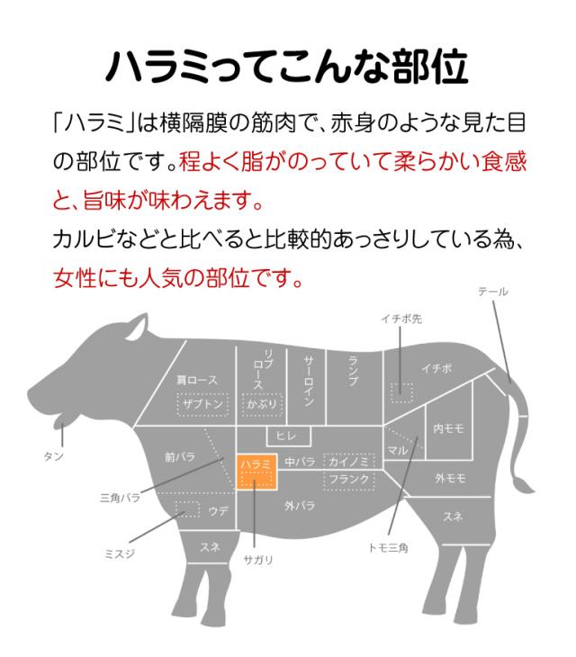 牛ハラミ