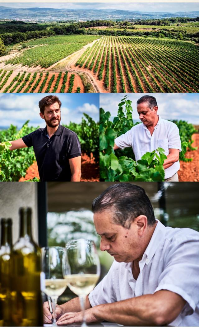 ロジャーグラートコーラルロゼ