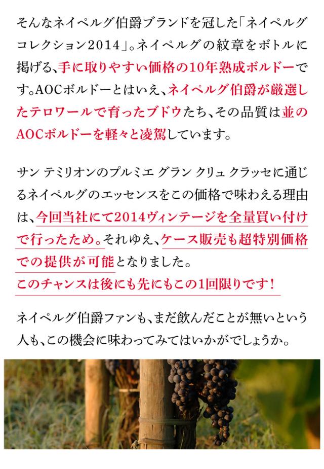 ネイペルグ コレクション