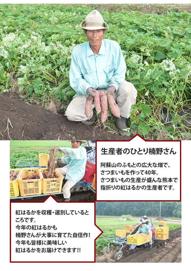 生産者