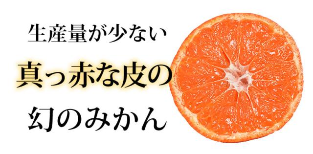 幻のみかん