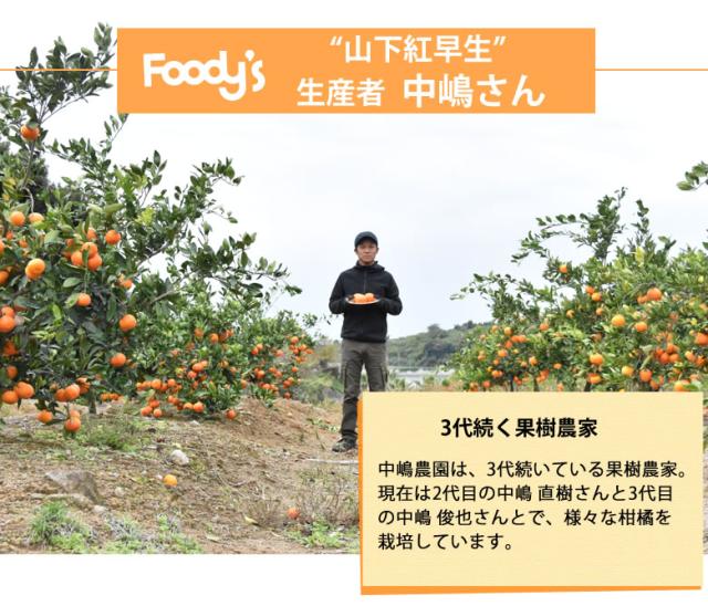 紅早生みかん生産者