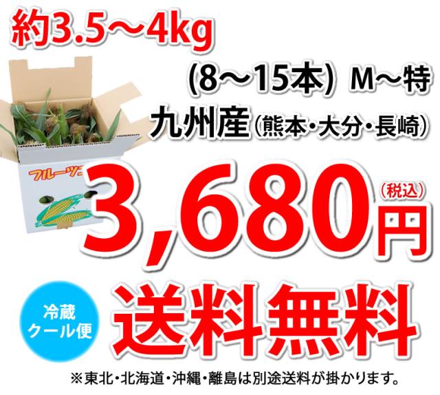 3,680円送料無料