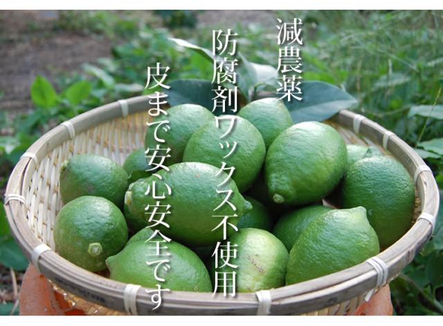 減農薬・防腐剤ワックス不使用