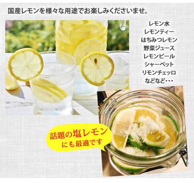 塩レモンにも最適です。