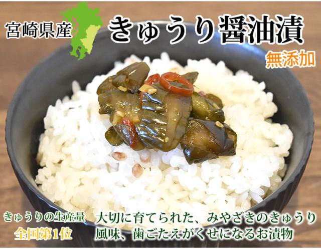 宮崎県産 きゅうり醤油漬