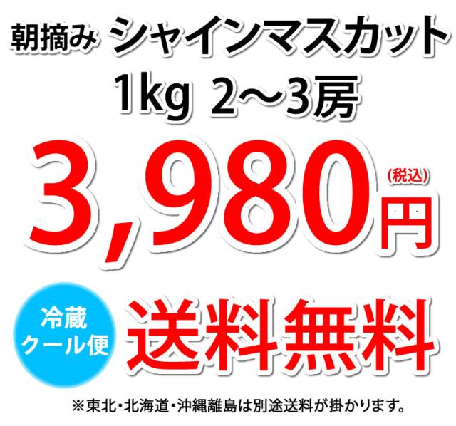 3,980円