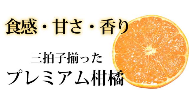 プレミアム柑橘せとか