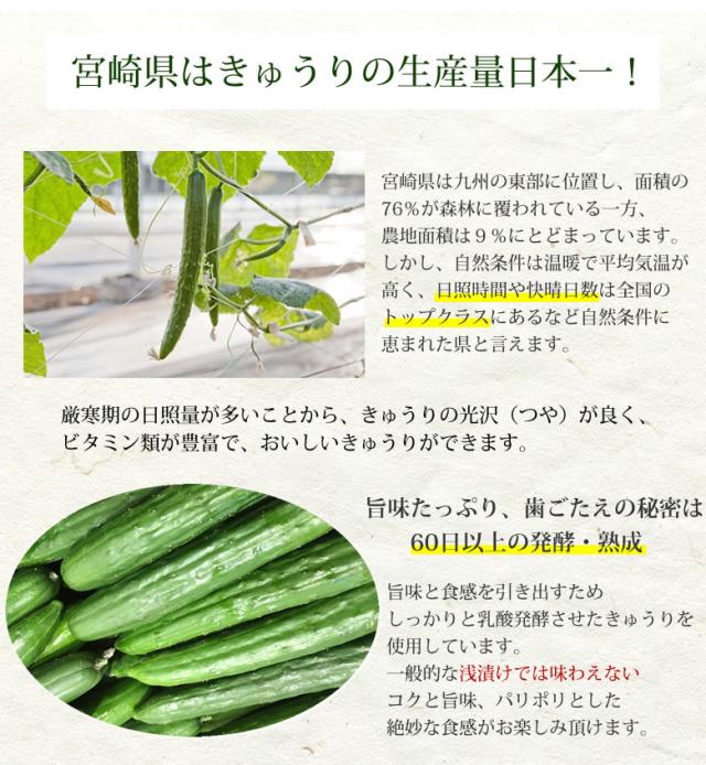 きゅうり生産量第1位