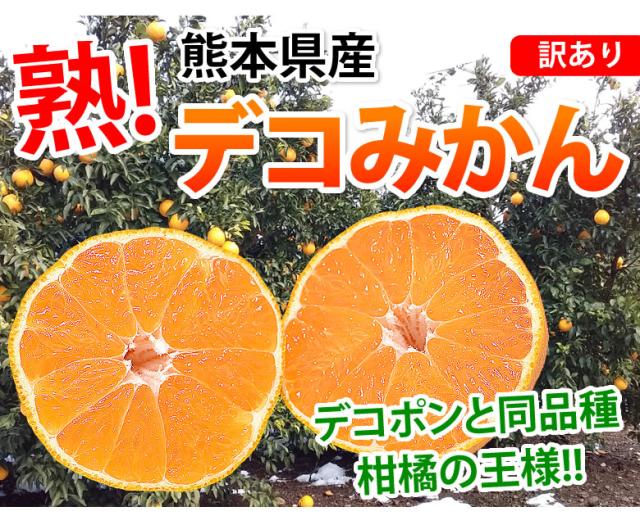 熊本県産デコみかんデコポン
