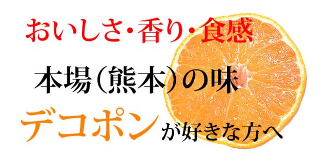 熊本県産デコみかんデコポン