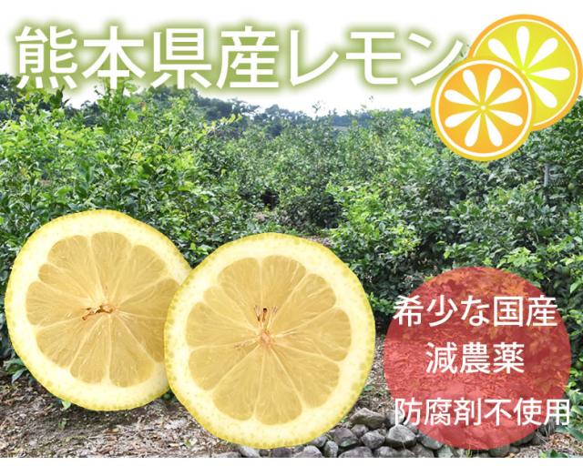 熊本県産レモン