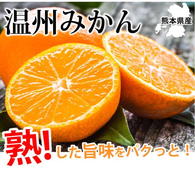 訳あり温州みかん