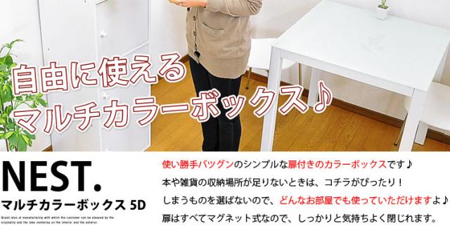 マルチカラーボックス5D