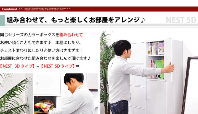 マルチカラーボックス5D