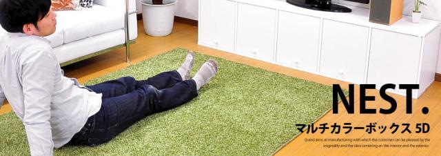 マルチカラーボックス5D