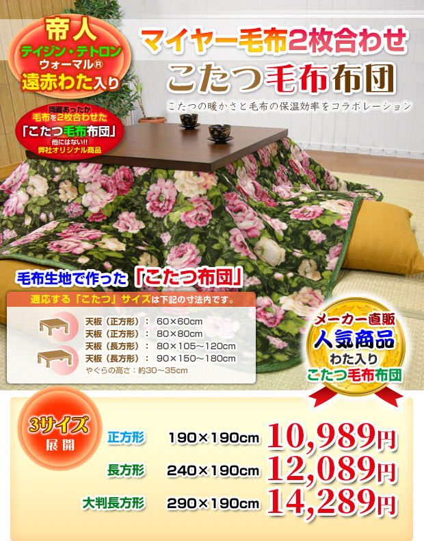 送料無料 早い者勝ち 帝人 こたつ布団 こたつ毛布 炬燵布団 こたつ毛布布団 帝人 遠赤外線わた入り 両面毛布 正方 工場直送 Carlavista Com
