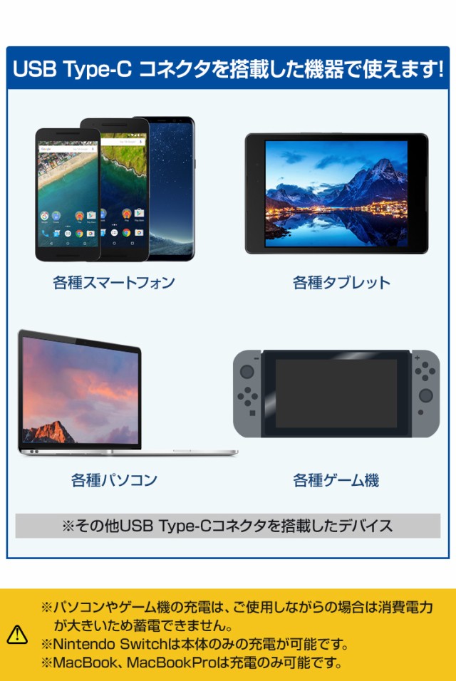 USB Type-C 急速充電 メッシュ