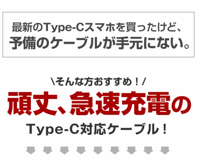USB Type-C 急速充電 メッシュ