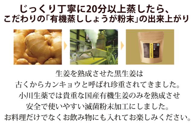 ショウガオール ジンゲロール