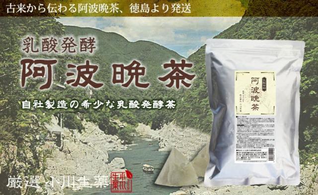 後発酵茶 乳酸発酵茶