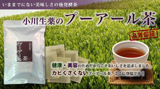 新作入荷安い 小川生薬 PAY マーケット - 株式会社 小川生薬|商品ロットナンバー:283864219 プーアル茶 5g×30袋 5個セットさらにもう1個プレゼントの通販はau 全国無料