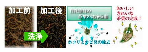 新作入荷安い 小川生薬 PAY マーケット - 株式会社 小川生薬|商品ロットナンバー:283864219 プーアル茶 5g×30袋 5個セットさらにもう1個プレゼントの通販はau 全国無料