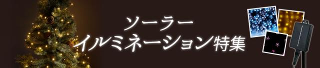 イルミ特集