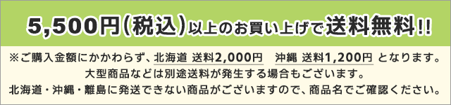 ＭＵＳＡＳＨＩ ＦＵ(フー)スティック 8本入り FUSTK(MUSASHI) - スポーツ