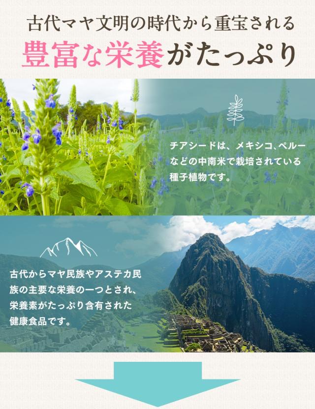 有機ホワイトチアシード