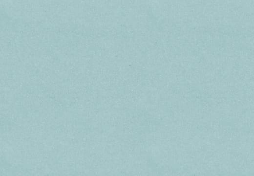 有機チアシード