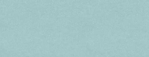 有機チアシード