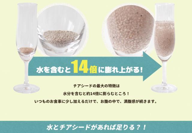 有機ホワイトチアシード