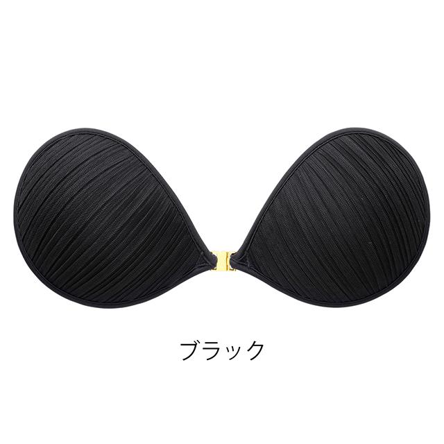 パテッドヌーブラ アスター