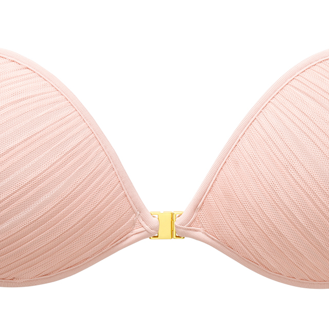 パテッドヌーブラ アスター