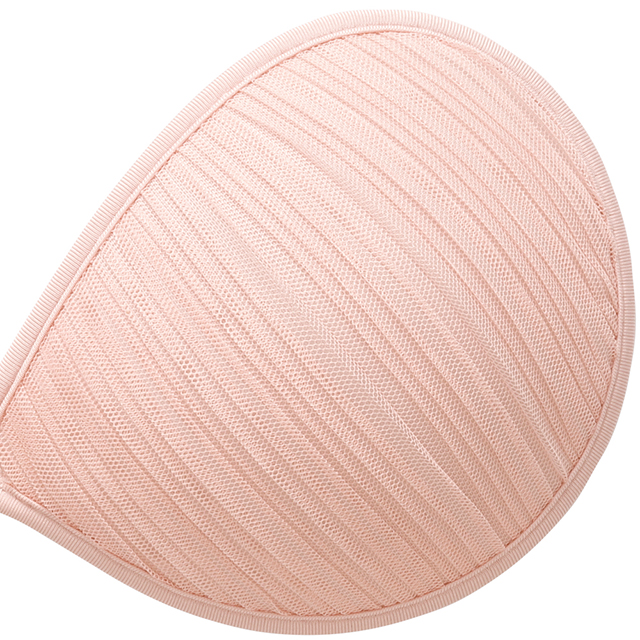 パテッドヌーブラ アスター