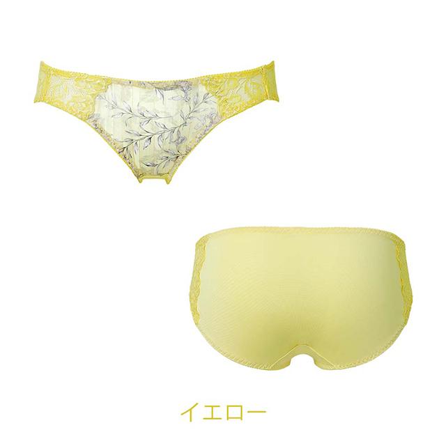 ブライト ショーツ