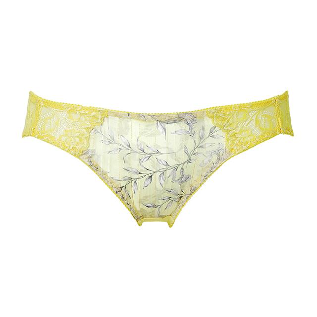 ブライト ショーツ