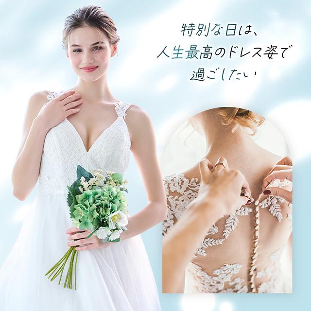 オープンバックニッパー