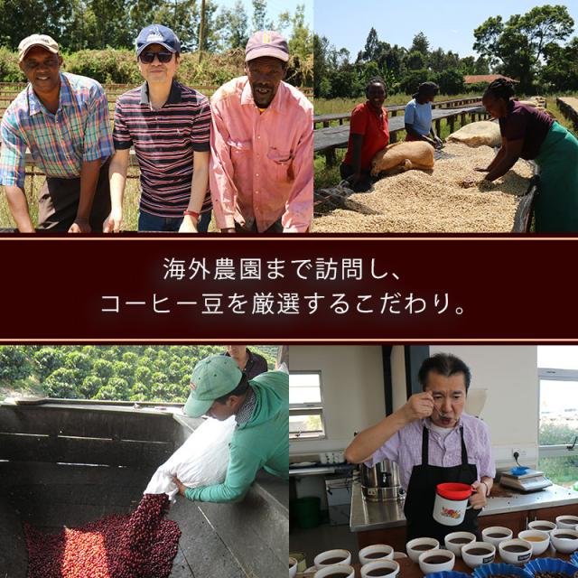 海外農園を訪問