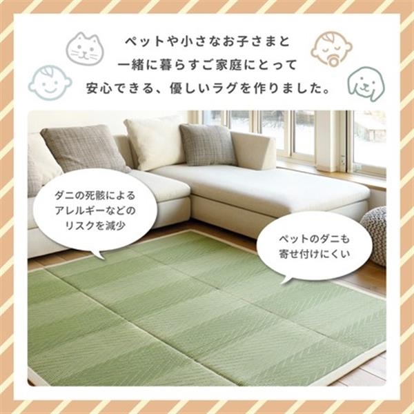 安心の定価販売 ダニを寄せ付けにくい い草ラグ ふっくら 厚手 コンパクト収納 裏貼有 クック ブルー 約180 180cm 21超人気 Endocenter Com Ua