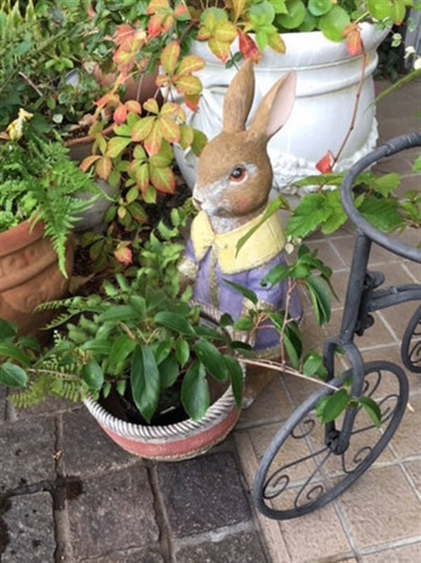 ブランドショッパー付き フラワーポット 鉢カバー プランター ウサギ 新入荷 Carlavista Com