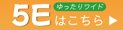 5Eはこちら