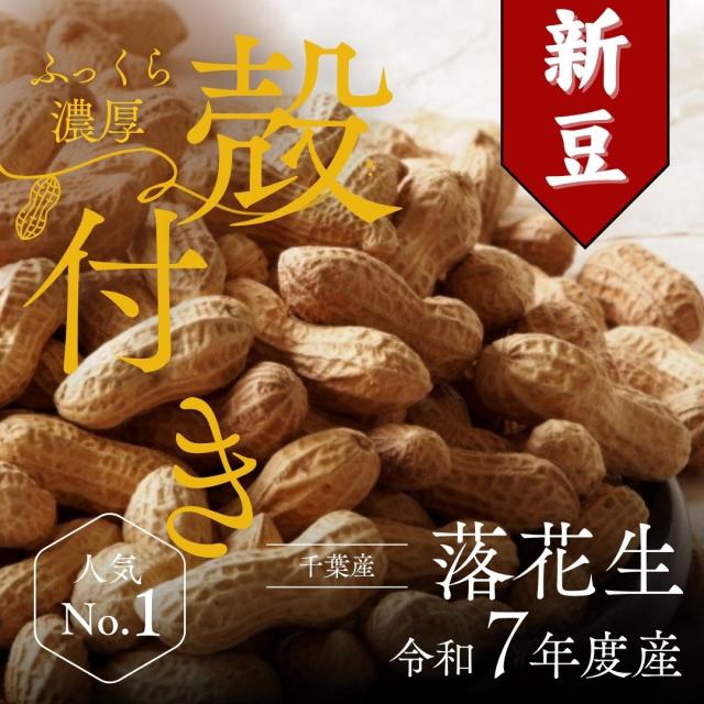 千葉県 八街産 落花生 ピーナッツ 千葉半立 ナカテユタカ 中手豊 Qなっつ 国産 皮ごと 煎りざや 無添加